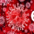 Sars-CoV-2. Divulgazione scientifica – Parte 6: La fuffa di Montaigner "una solenne e pericolosa fesseria”. Il nuovo coronavirus non è artificiale