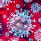 P. Gargano racconta il coronavirus in Asia meridionale