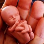 Due bambini vedono un feto di dodici settimane: ecco cosa svelano i loro occhi innocenti