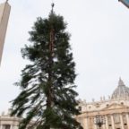 Natale 2022 in Piazza San Pietro